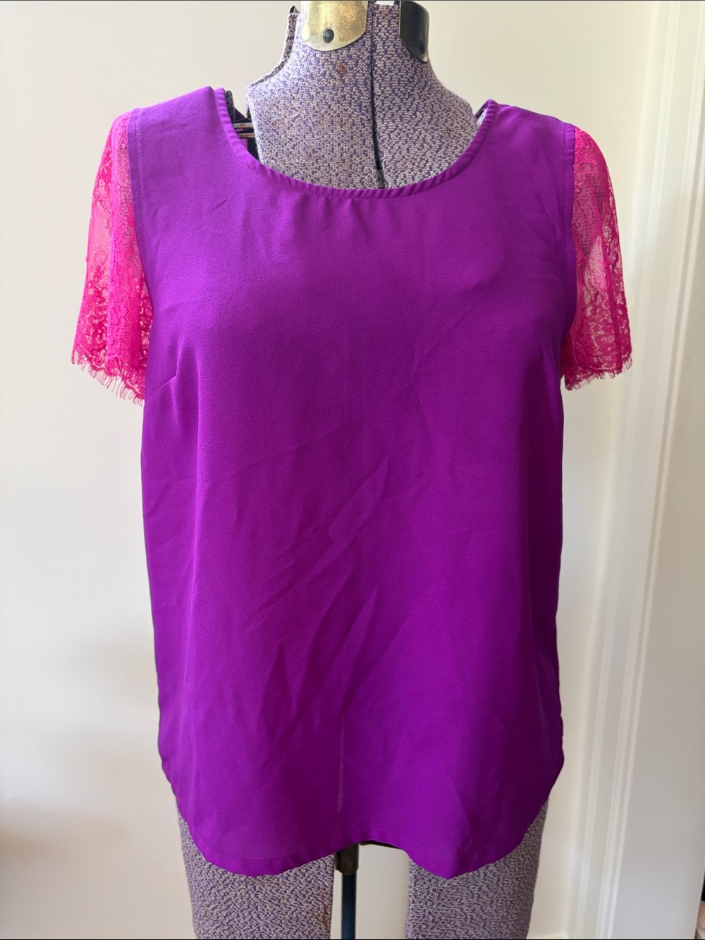 41 Hawthorn Lace Sleeve Sheer Blouse